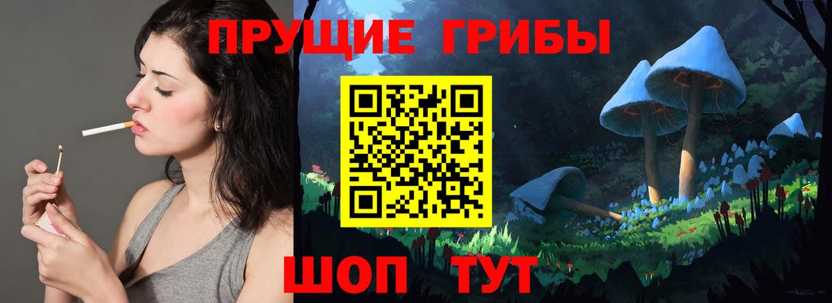 Димитровград  Галлюциногенные грибы Psilocybine cubensis  Вход с VPN 